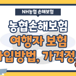 NH농협손해보험 해외여행자보험 쉽게 가입하는법, 가격정보, 지급제한